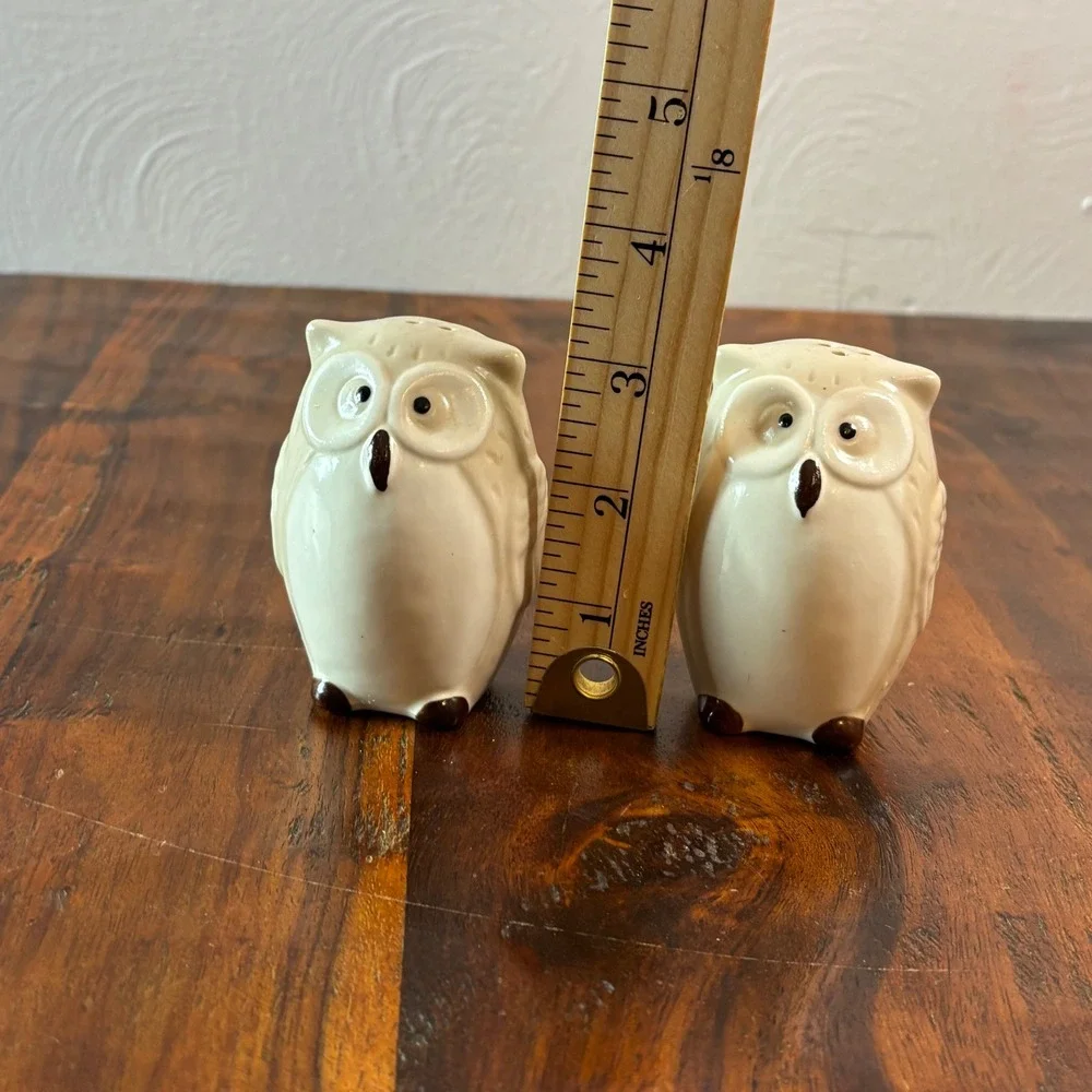 Pier One Imports Ceramic Owl Salt and Pepper Shakers Cream Brown Set of 2